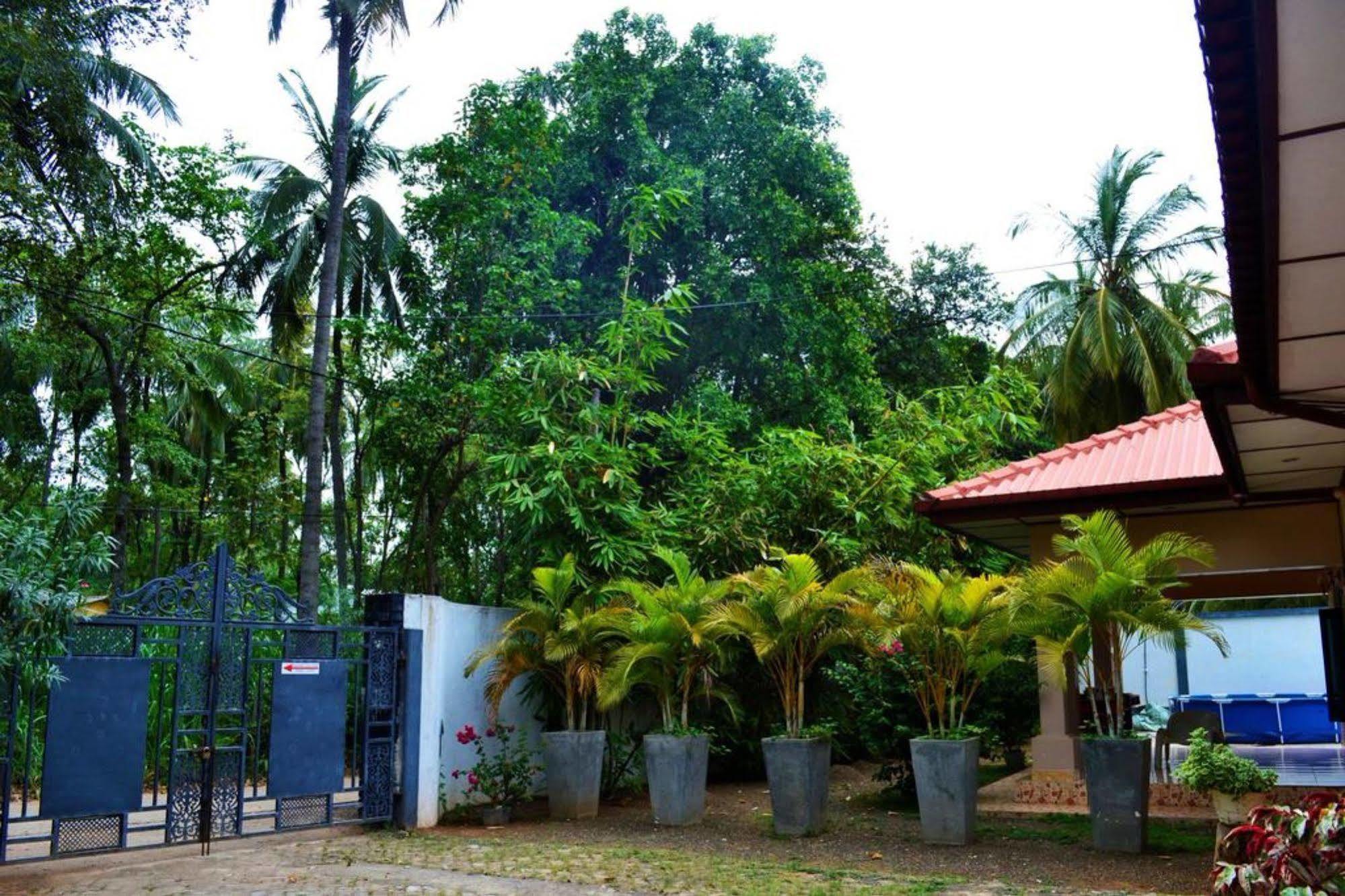 Dambulla City Hostel Buitenkant foto
